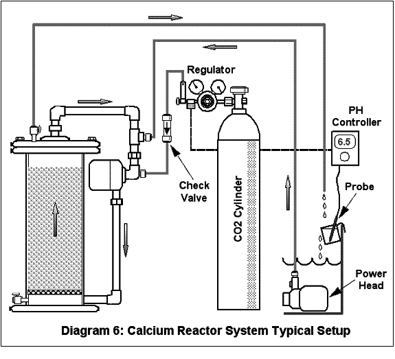 Calcium Reactors In, Out and Everything in Between